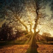 Paranormalehulplijn.net - tarotist Petra
